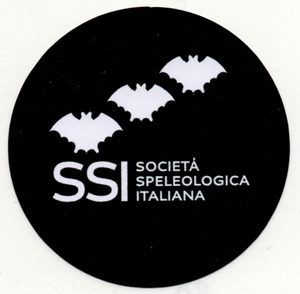 Bologna, 4 Aprile 2020 – Assemblea annuale Soci SSI