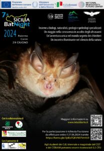 7a Sicilia Bat Night